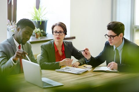 Performance Management Cycles and Business Consultancy in Tasmania — Co-Create business consultancy Tasmania article cover image